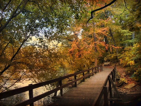 Autumn Awaits