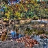 © Elliot Barnathan PhotoID# 10940104: The Wissahickon 13