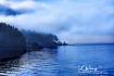 Friday Harbor