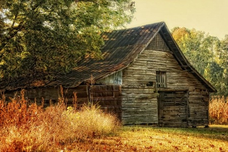 Barn Loft Memories