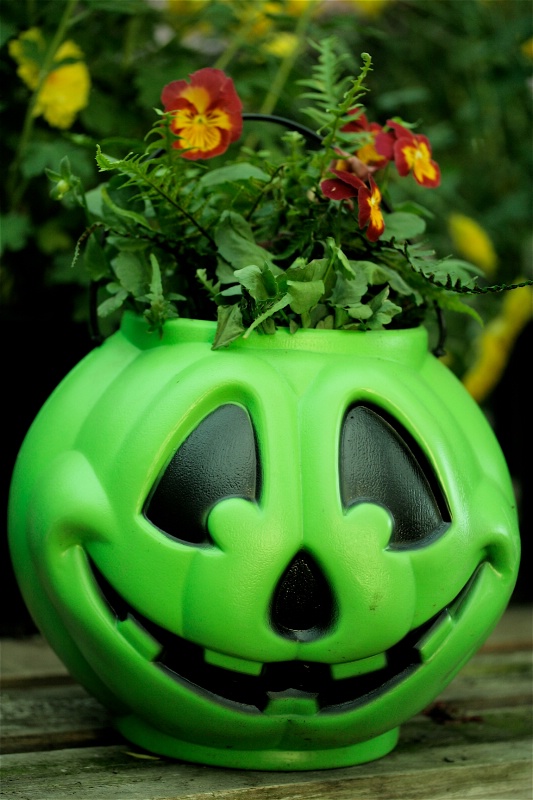 pumpkin flowerpot