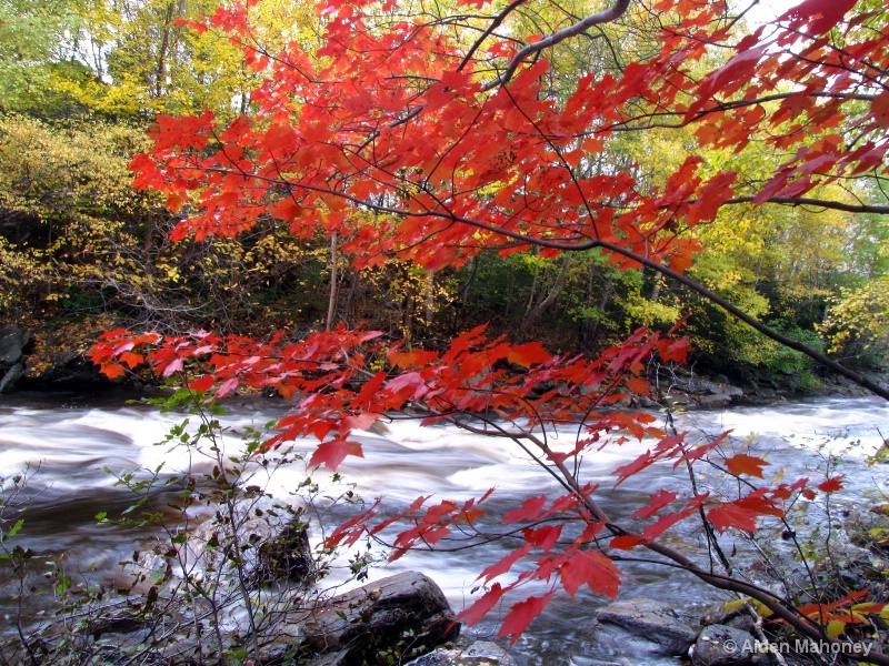 Nature's Autumn Palette.