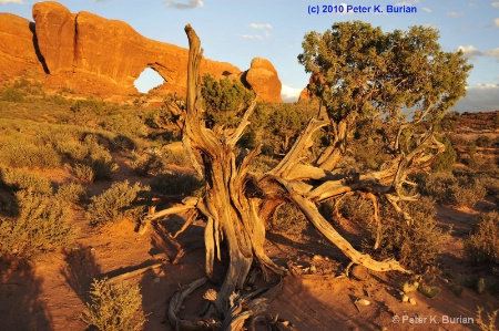 Evening, Arches NP, Utah