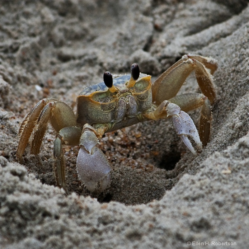 img4