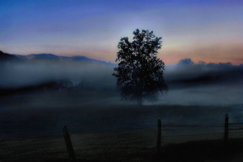 Cades Cove Morning