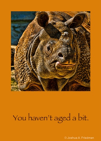 Birthday Card - Rhino