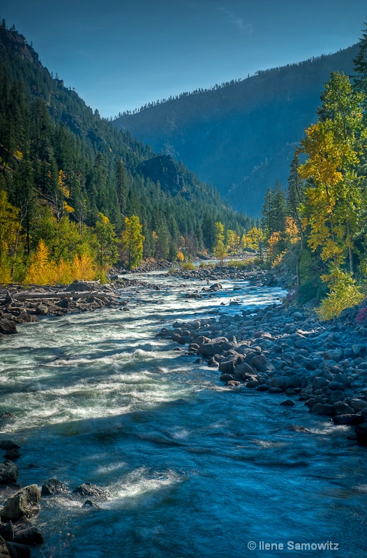 Autumn Creek in the Cascades