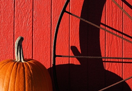 Pumpkin Shadow