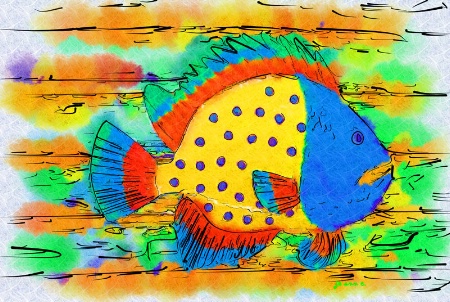 The Colorful  Fish....