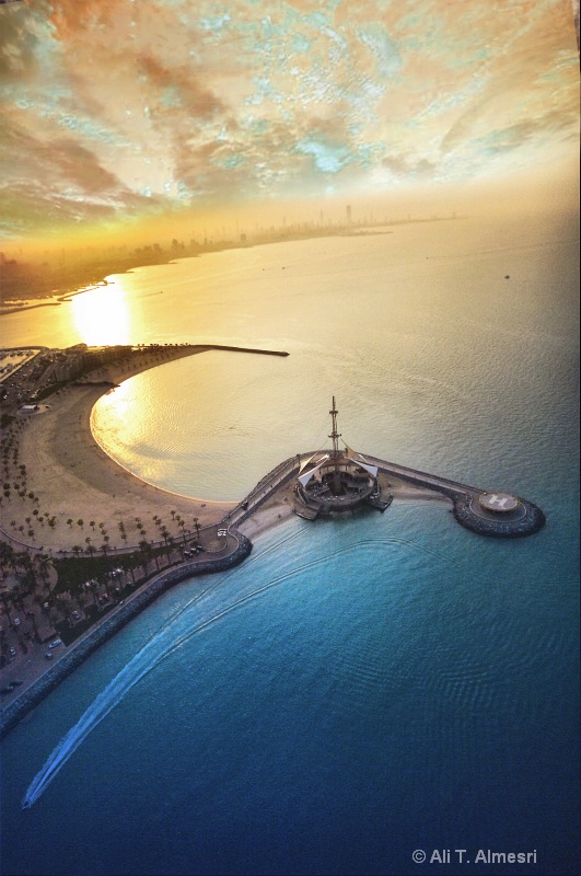 kuwait birds eye costal