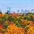 © Natasha Pliss PhotoID # 10975490: Autumn coming to Boston