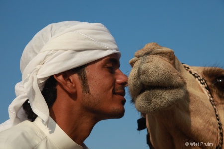 Emirati Man & Camel