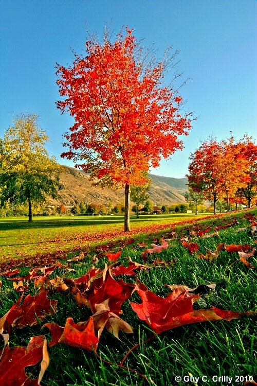 Chelan Falls Park Fall Colors