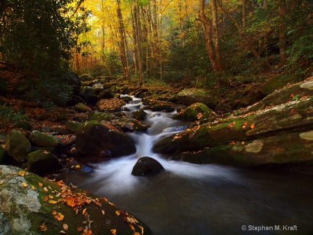 Smoky Mountains Stream