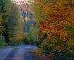 Autumn Roads