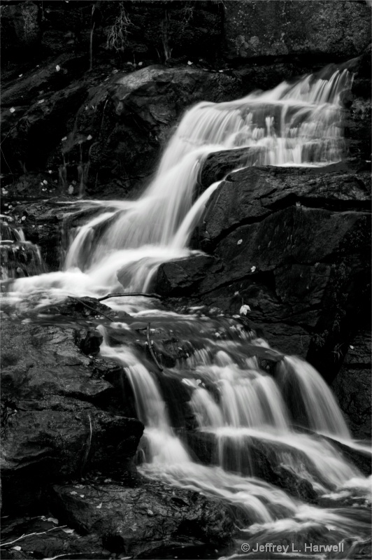 Stream Section in B&W