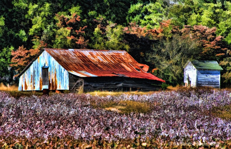 Cotton Country