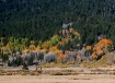 Sierra Gold