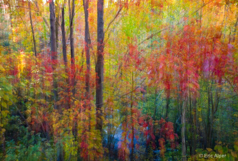 Fall trees with running stream