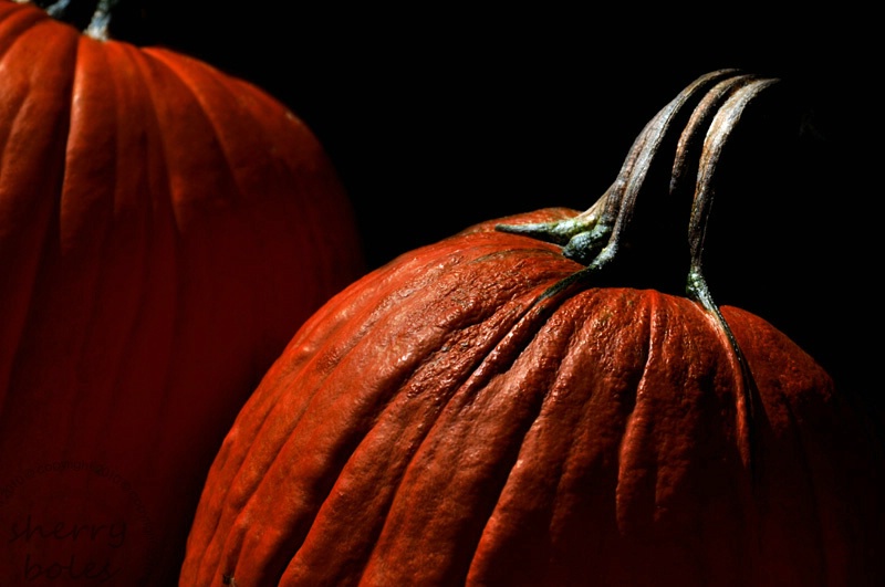 pumkins and shadows