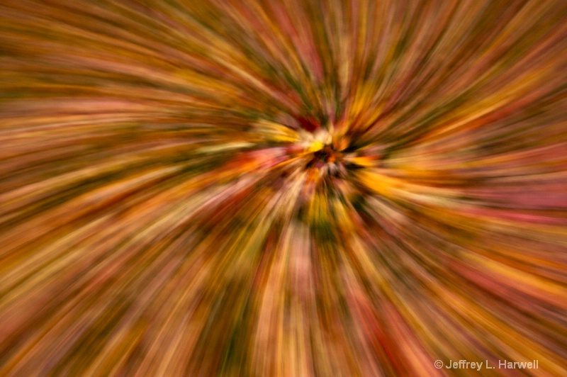 Fall Leave Zoom, Slight Spin 1