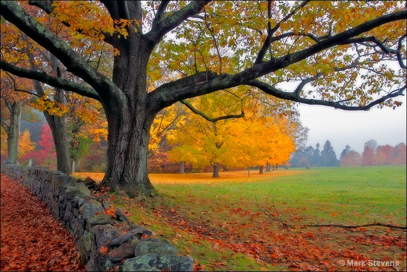 Autumn in New England 