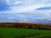 Autumn View