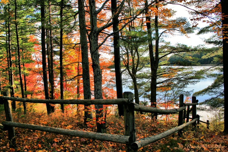 Perch Lake Campground