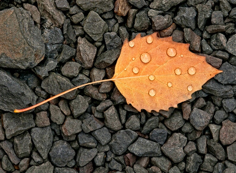 img7