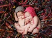 newborn twins :) 