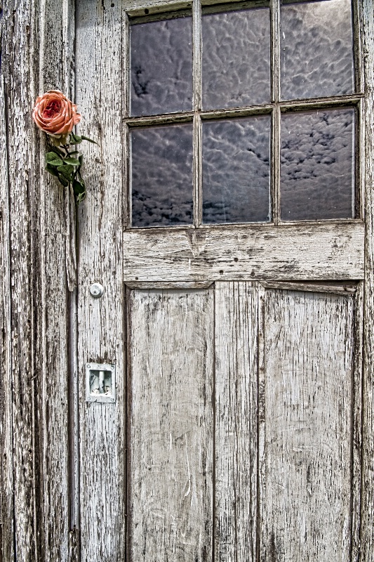 Old Door with the Rose