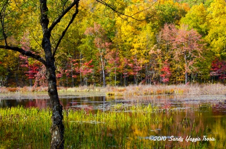 Aaah, the Days of Fall