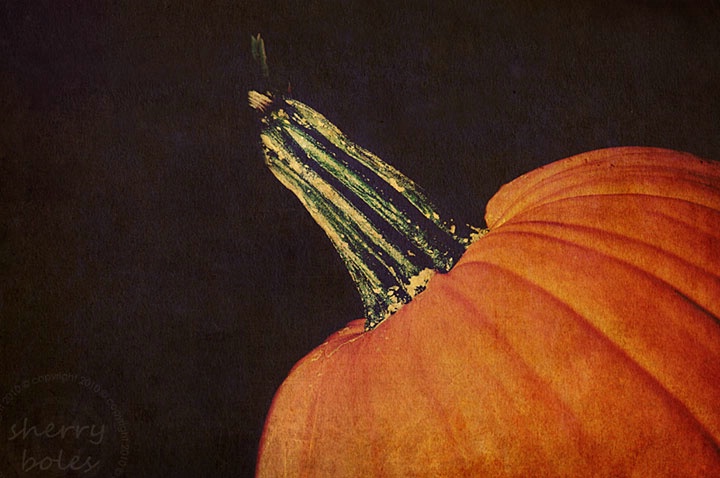 happy harvest time
