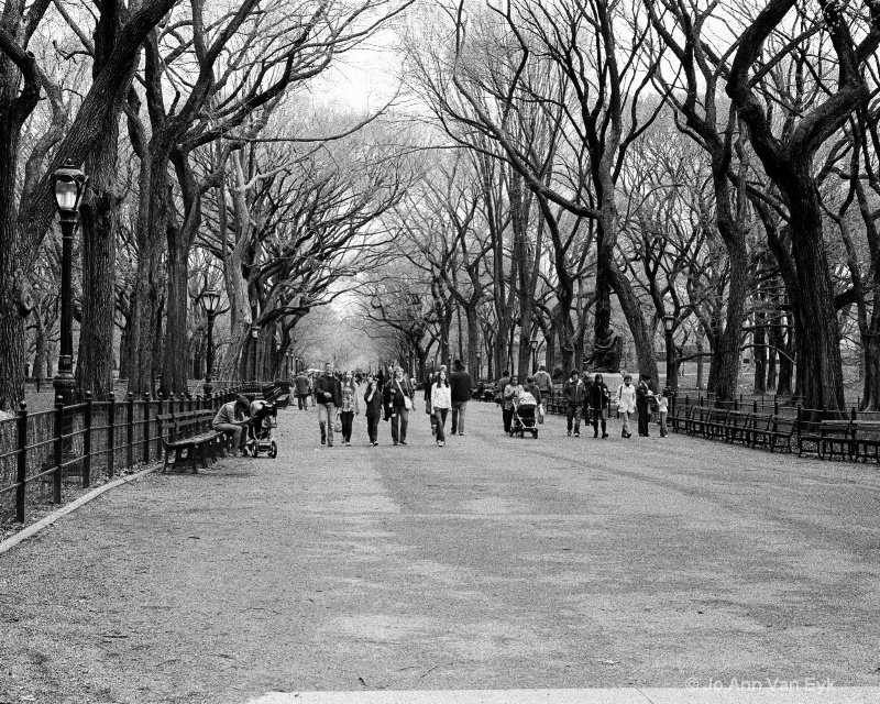 The Walk in Central Park