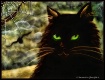 Casting a Spell.....