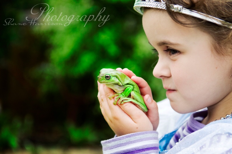 The Princess & the Frog..
