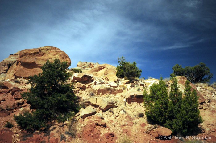 A View Of Canyon Lands National Park