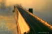 Into the Unknown
