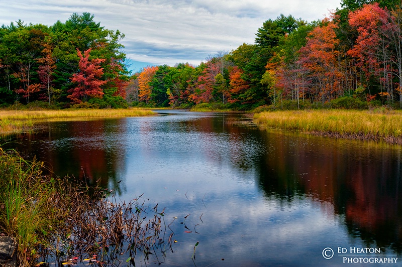 Maine Colors