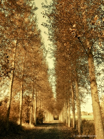 The Photo Contest 2nd Place Winner - Autumn