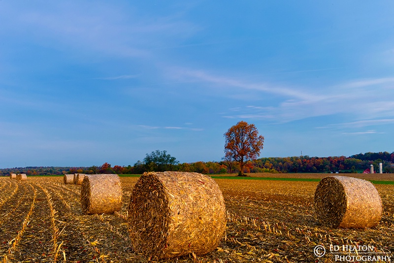 Bales