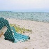 © Beth E. Higgins PhotoID# 11034569: "Will Do" CH 107