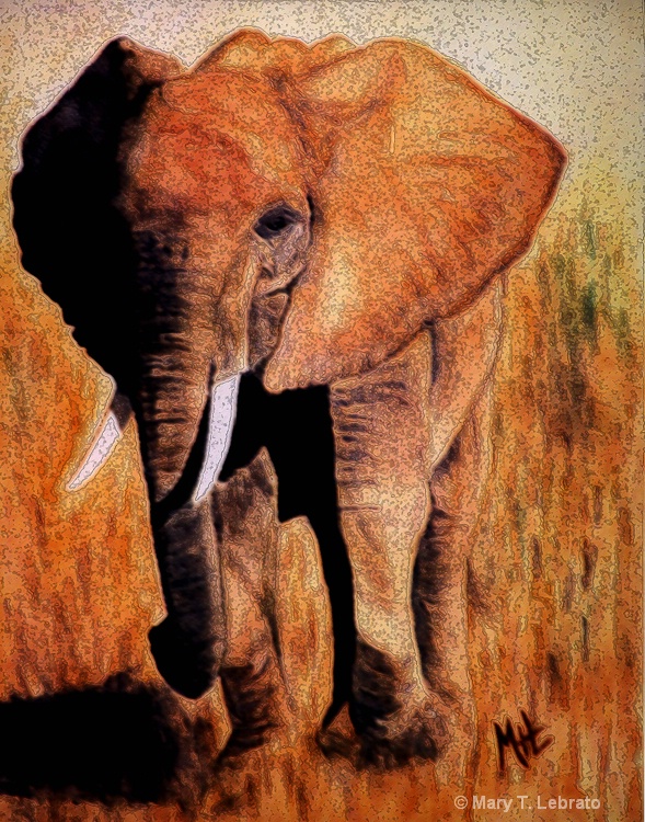 elephantwatercolor copy - ID: 11035993 © Mary T. Lebrato