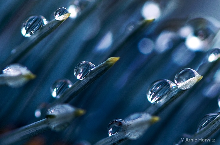 Droplets - ID: 11036458 © Arnie Horwitz