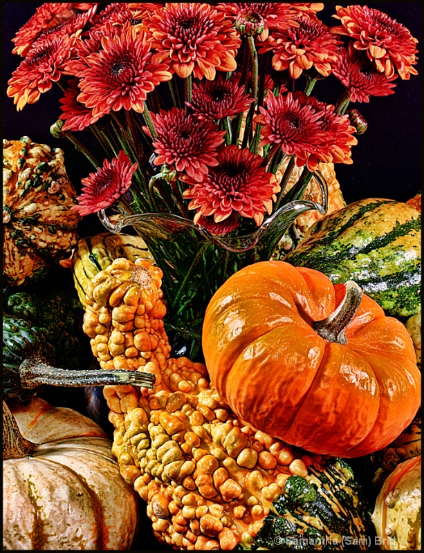 Autumn Still Life