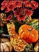 Autumn Still Life