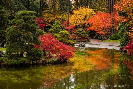 Reflecting Fall Beauty