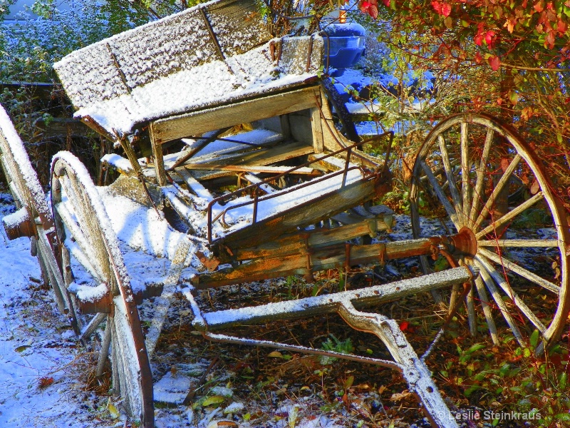 Ron's Vintage Wagon........