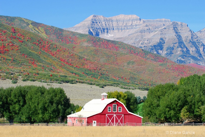 barns 67a - ID: 11056008 © Diane Garcia