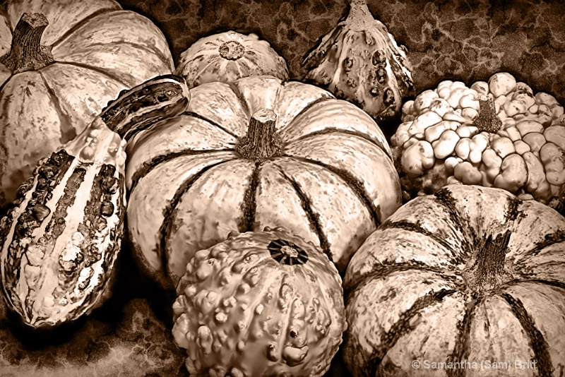 Vintage Autumn Still Life